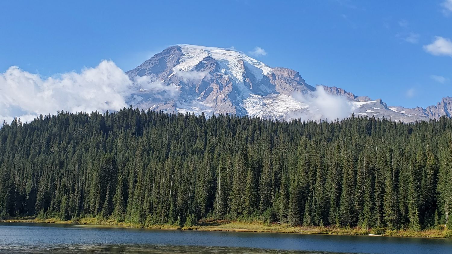 Mount Rainier NP 